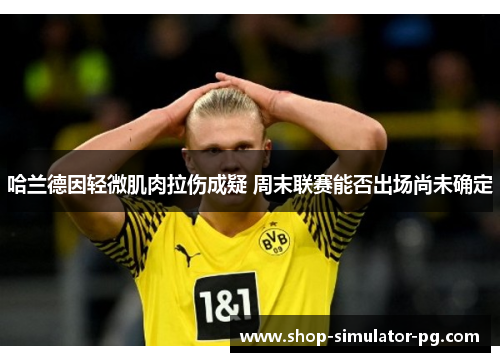哈兰德因轻微肌肉拉伤成疑 周末联赛能否出场尚未确定 哈兰德因轻微肌肉拉伤成疑 周末联赛能否出场尚未确定