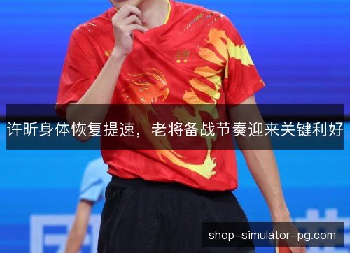 许昕身体恢复提速,老将备战节奏迎来关键利好 许昕身体恢复提速,老将备战节奏迎来关键利好