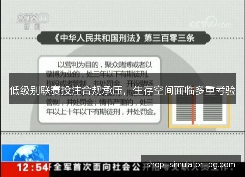 低级别联赛投注合规承压,生存空间面临多重考验 低级别联赛投注合规承压,生存空间面临多重考验